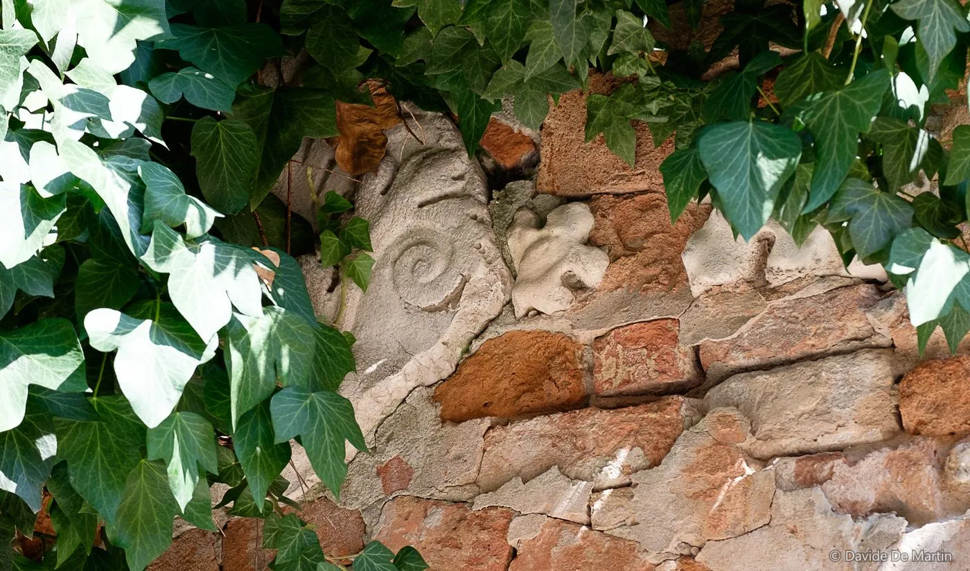 Frammento di mascherone, Corte dei Muti, Cannaregio