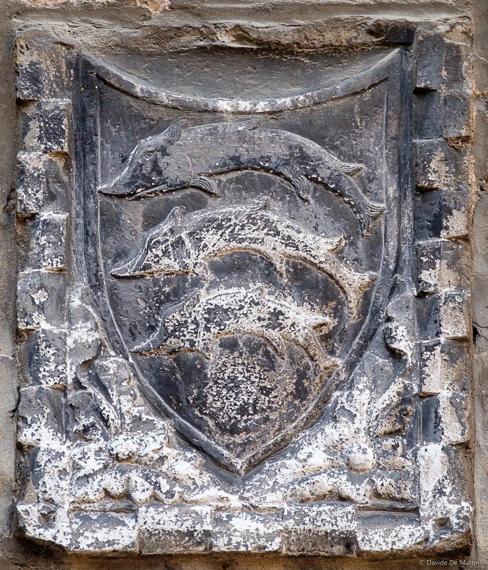 Stemma Dolfin, Campiello Selvatico, Cannaregio