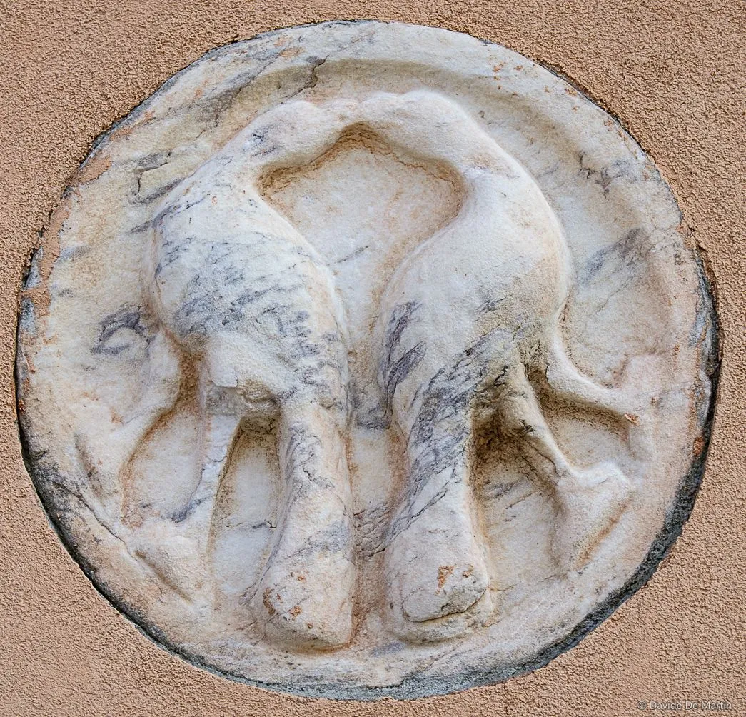Patera, Fondamenta de la Tana, Castello